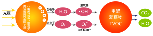 2018521151377491656.jpg 2018521151377491656.jpg