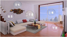 室內污染比室外還嚴重！這兩類人傷害最大