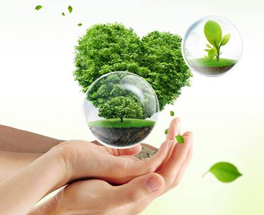 關于室內環保裝修,這六點你得了解