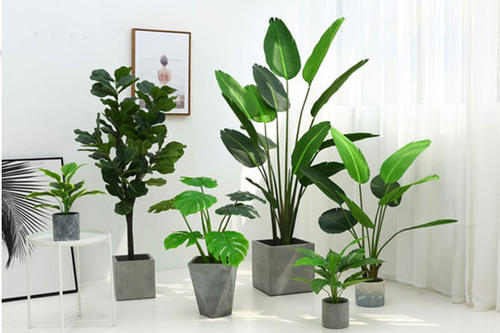 2020428928171733035.jpg 2020428928171733035.jpg