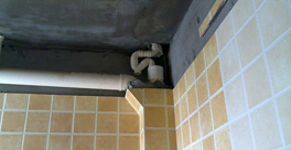 樓上廁所的排水管道和衛(wèi)生間漏水，應該誰負責？應該怎么處理？