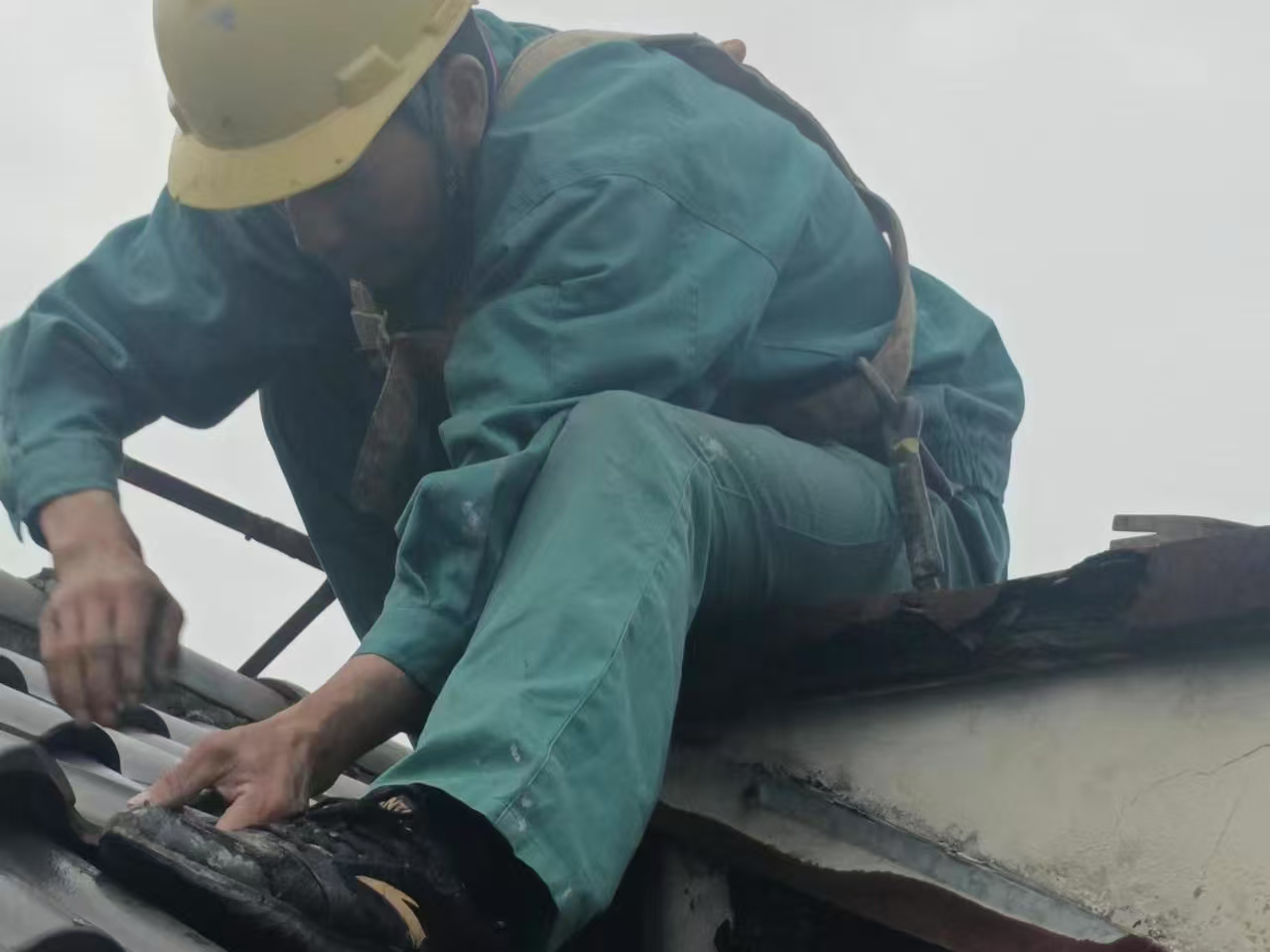 圖片1.png 圖片1.png